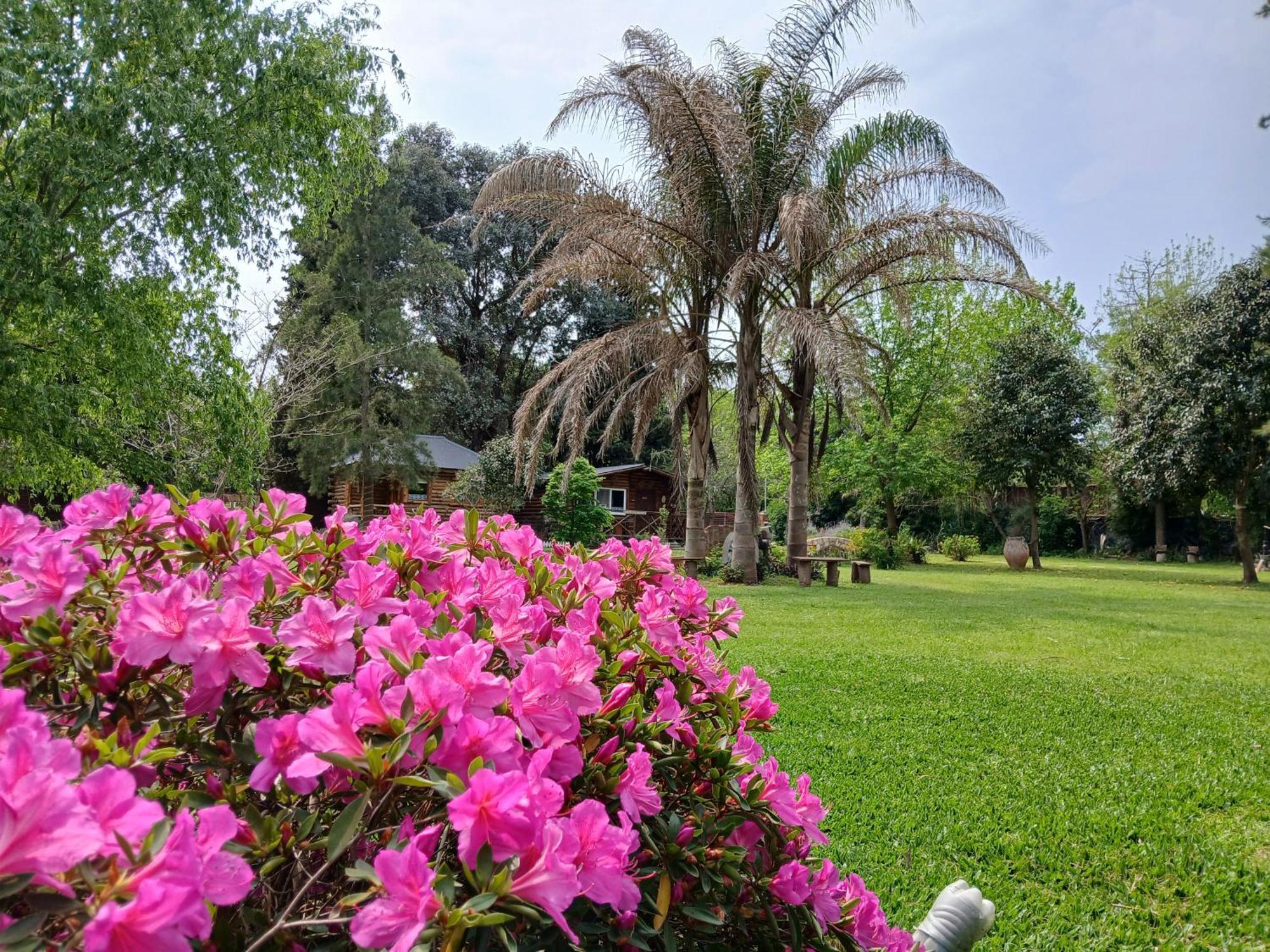 Pualy Resort & Spa Belén de Escobar Buitenkant foto